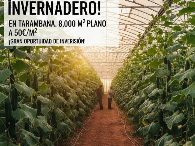 Terreno en Venta en El Ejido
