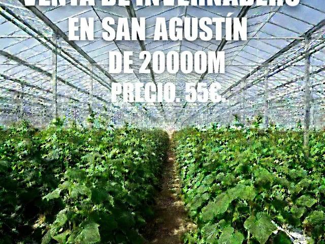 Terreno en Venta en El Ejido