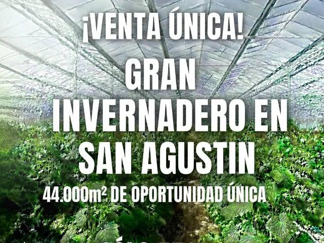 Terreno en Venta en El Ejido