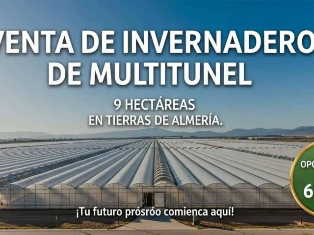 Terreno en Venta en El Ejido