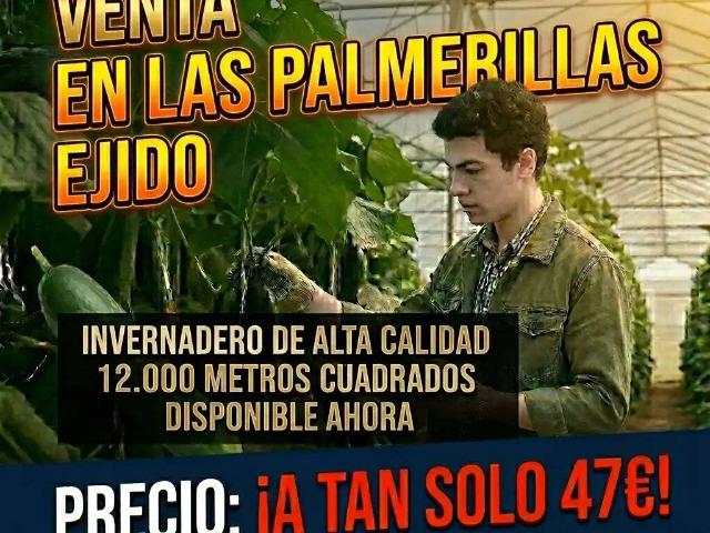 Terreno en Venta en El Ejido