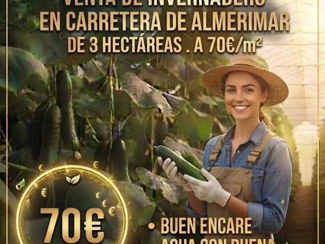 Terreno en Venta en El Ejido