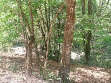 Terreno en venta en el Fresno, Valle de Bravo