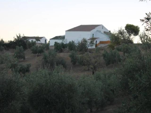 Terreno en Venta en El Gastor