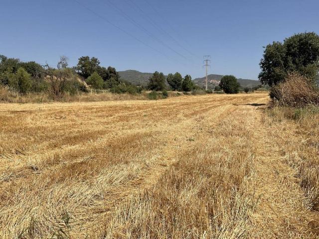 Terreno en Venta en El Grado