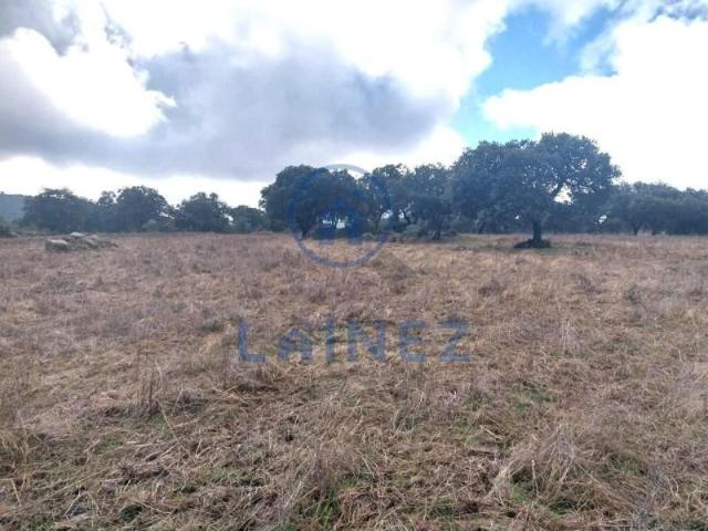 Terreno en venta en El Hoyo, Belmez, El Hoyo