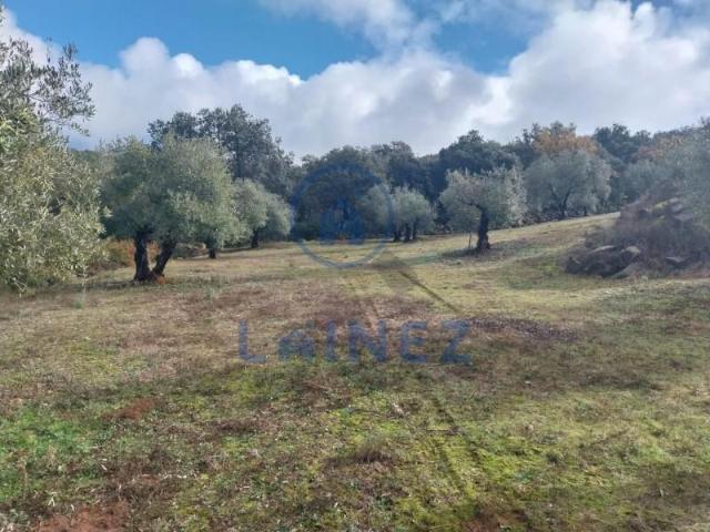 Terreno en venta en El Hoyo, Belmez