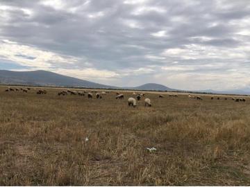 Terreno en venta en El Llano, Apan, Hidalgo