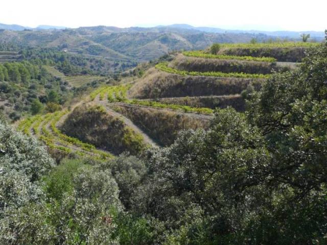 Terreno en Venta en El Lloar