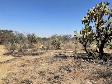 Terreno en Venta en El Loretito, San Francisco de Los Romo, Ags GA