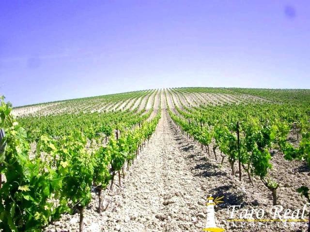 Terreno en Venta en El Puerto de Santa María