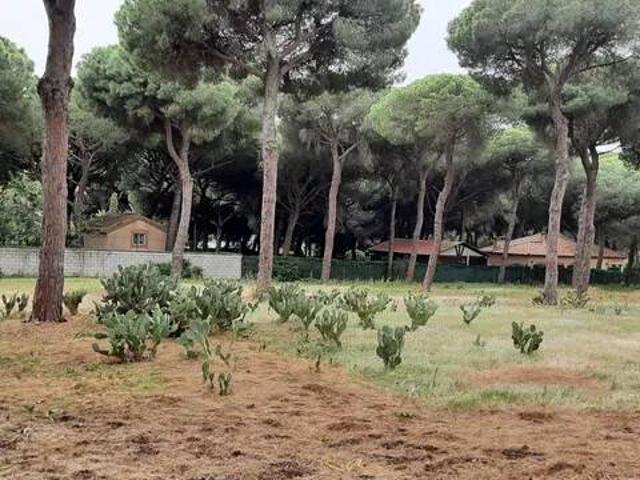 Terreno en Venta en El Puerto de Santa María