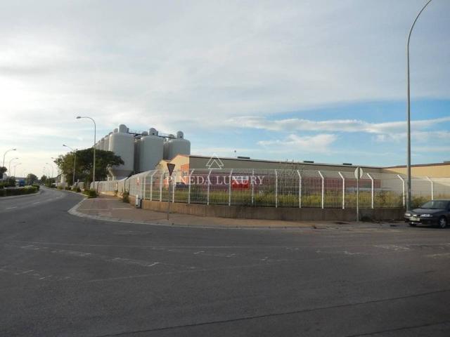 Terreno en Venta en El Puig de Santa Maria