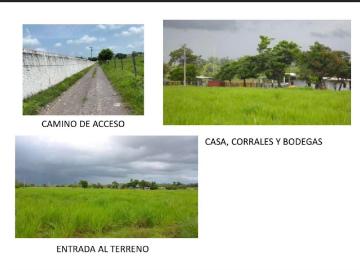 Terreno en venta en El Pando, Veracruz, de Ignacio de la Llave