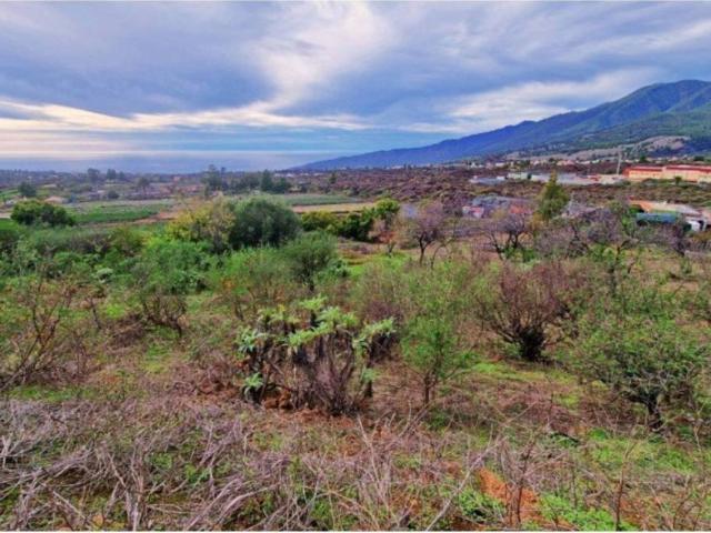 Terreno en Venta en El Paso
