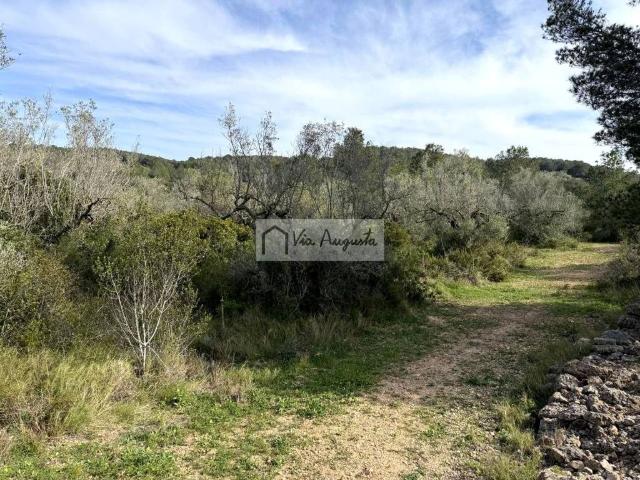 Terreno en Venta en El Perelló