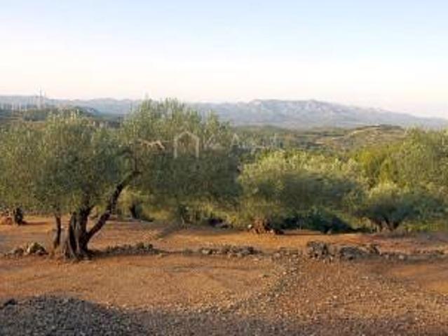 Terreno en venta en el Perelló, Comes, 43519