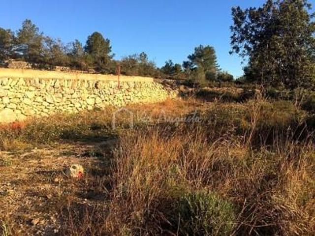 Terreno en venta en el Perelló, Carrer Embrurgada, 43519