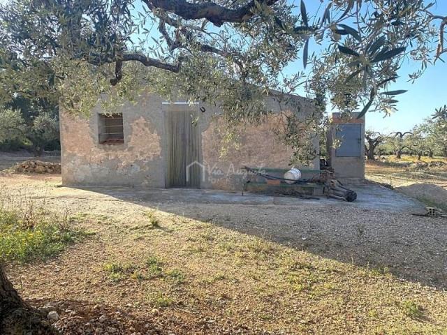 Terreno en venta en el Perelló, Burgà, 43519