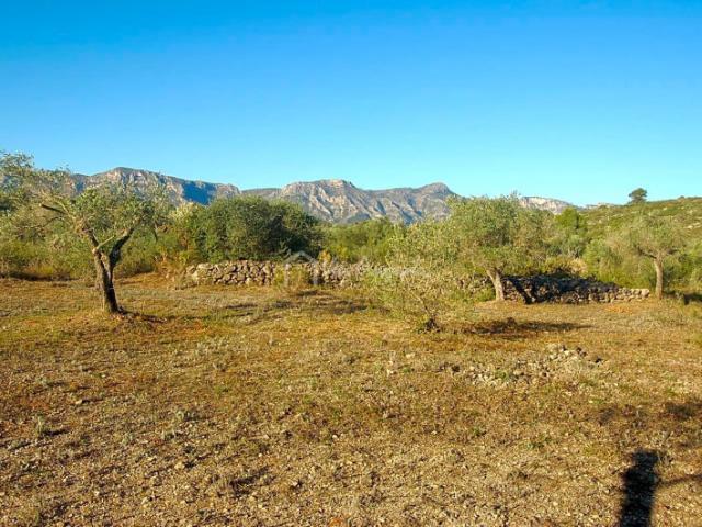 Terreno en venta en el Perelló, Partida del Burgà, 43519