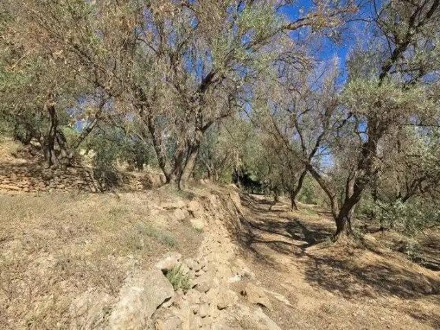 Terreno en Venta en El Pinar