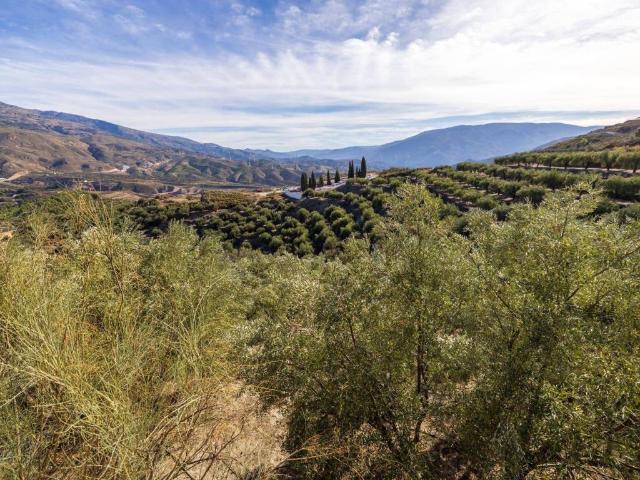 Terreno en Venta en El Pinar