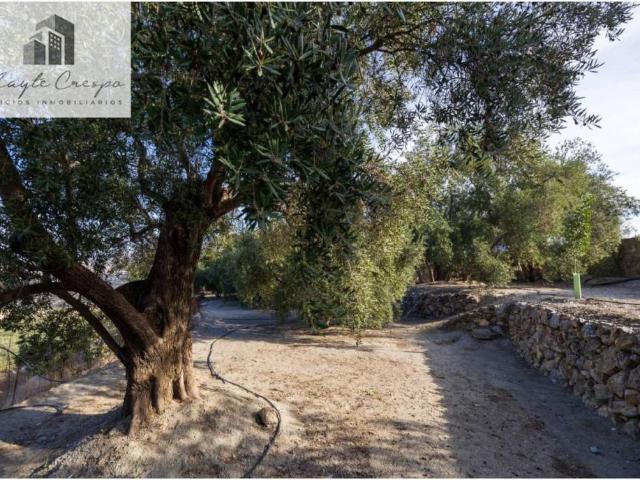 Terreno en Venta en El Pinar