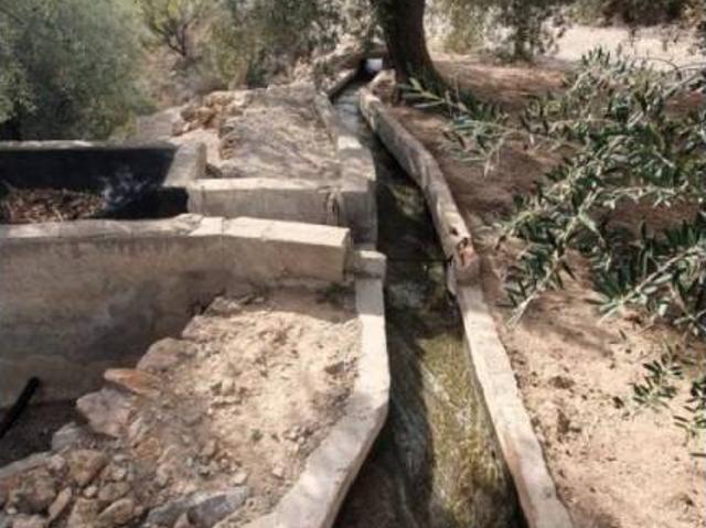 Terreno en Venta en El Pinar