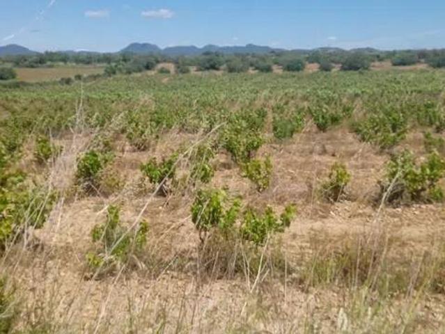 Terreno en Venta en El Pla de Santa Maria