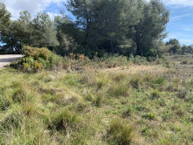 Terreno en Venta en El Pla de Santa Maria