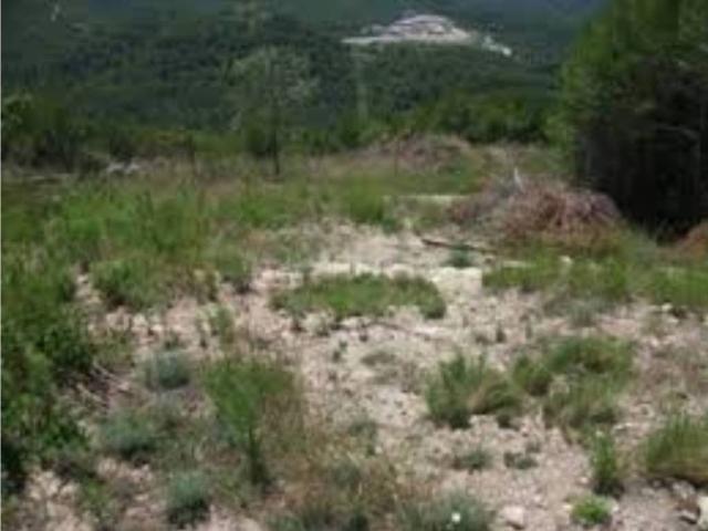 Terreno en Venta en El Pont de Vilomara i Rocafort