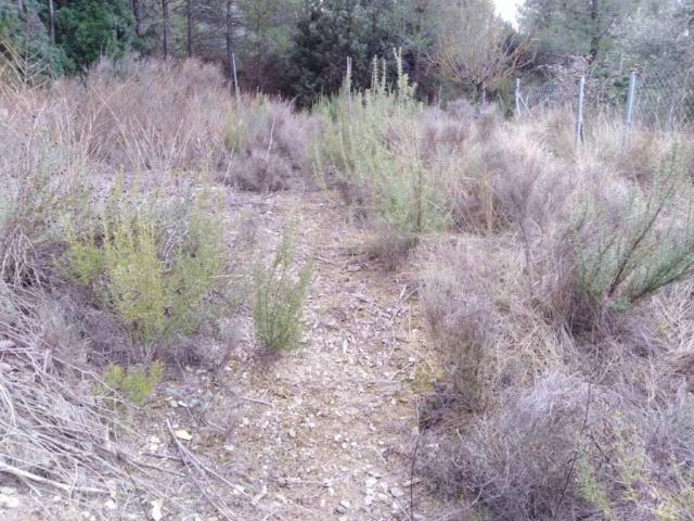 Terreno en Venta en El Pont de Vilomara i Rocafort