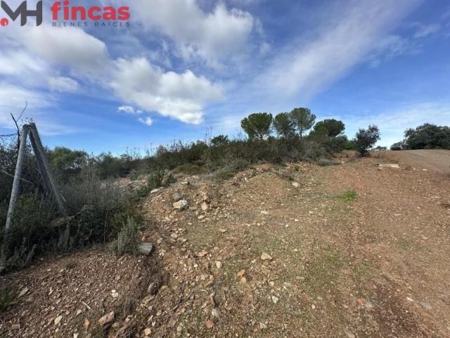 Terreno en venta en El Ronquillo, Lagos del serrano