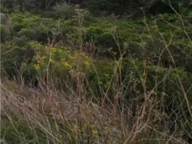 Terreno en Venta en El Rosario
