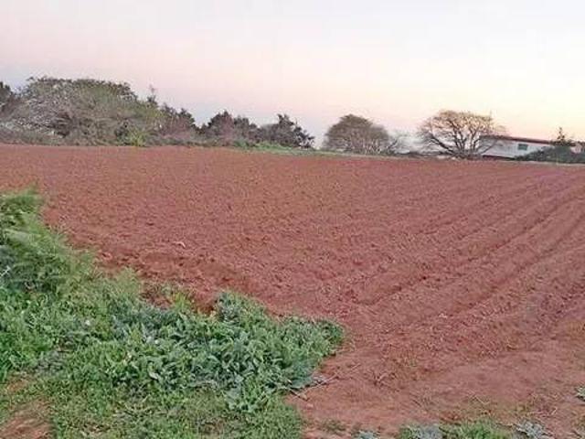 Terreno en Venta en El Rosario