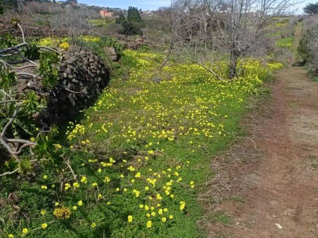 Terreno en Venta en El Rosario