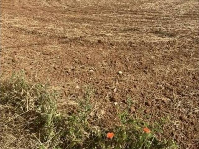 Terreno en Venta en El Rosario