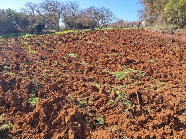 Terreno en venta en El Rosario, El Rosario