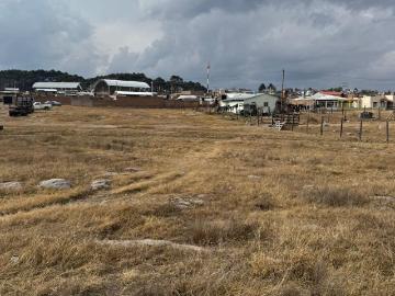 Terreno en Venta en El Salto Durango