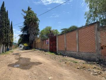 Terreno en Venta en El Salto Las Pintas 8