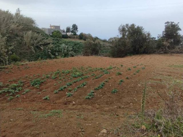 Terreno en Venta en El Sauzal