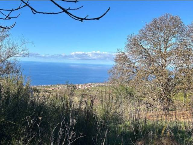 Terreno en Venta en El Sauzal