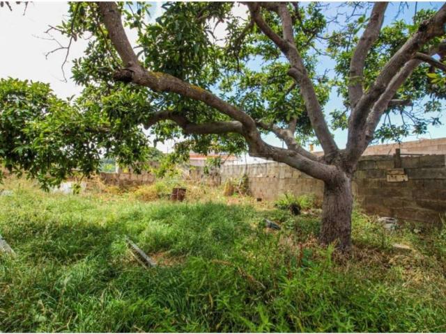 Terreno en Venta en El Sauzal