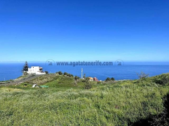 Terreno en Venta en El Sauzal