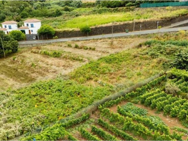 Terreno en Venta en El Sauzal