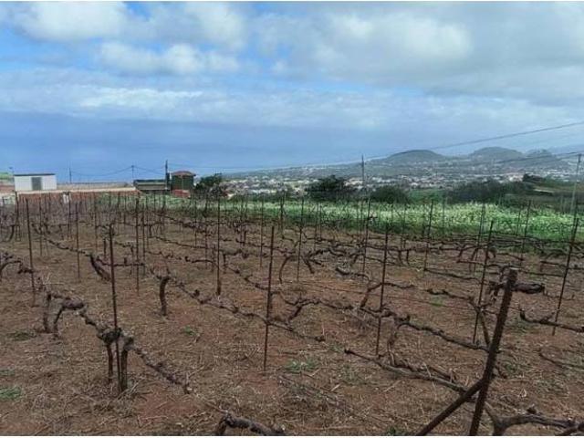 Terreno en Venta en El Sauzal