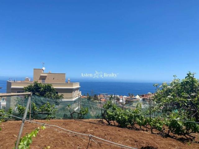 Terreno en Venta en El Sauzal