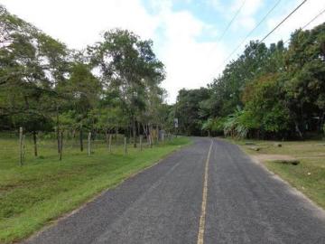 TERRENO EN VENTA EN EL SECTOR EL PAJONAL PANAMA