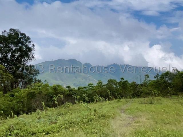 Terreno en Venta en El Tibron, El Junquito Vargas