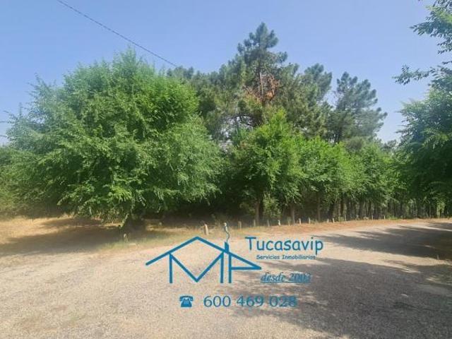 Terreno en venta en El Tiemblo